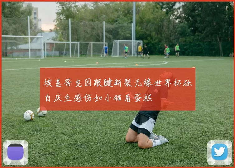 埃基蒂克因跟腱断裂无缘世界杯独自庆生感伤如小猫看蛋糕