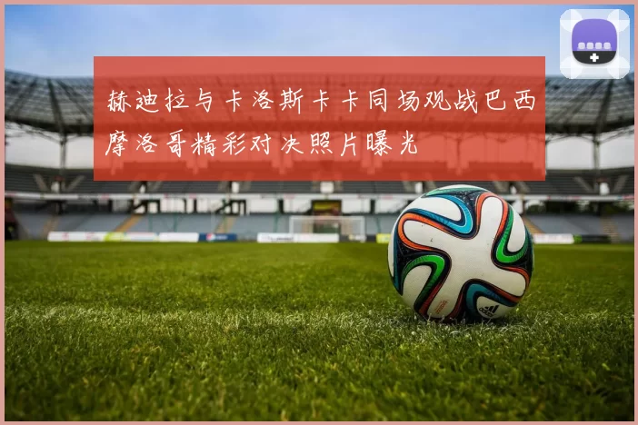 赫迪拉与卡洛斯卡卡同场观战巴西摩洛哥精彩对决照片曝光