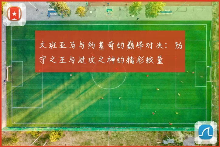 文班亚马与约基奇的巅峰对决：防守之王与进攻之神的精彩较量