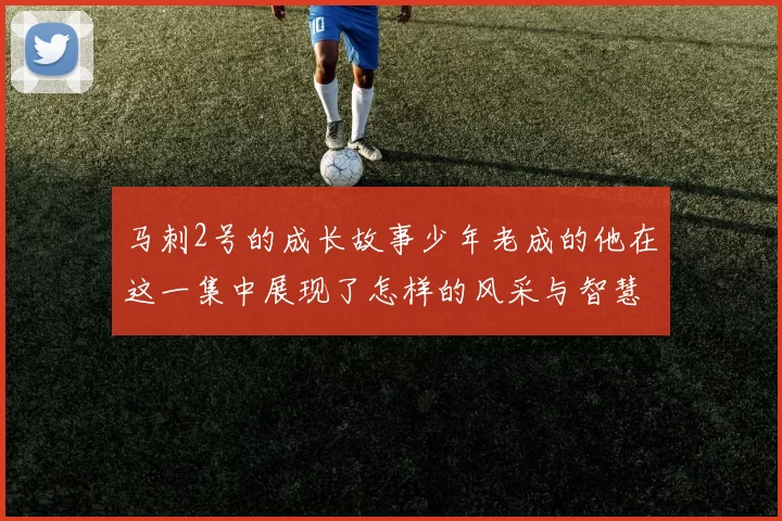 马刺2号的成长故事少年老成的他在这一集中展现了怎样的风采与智慧